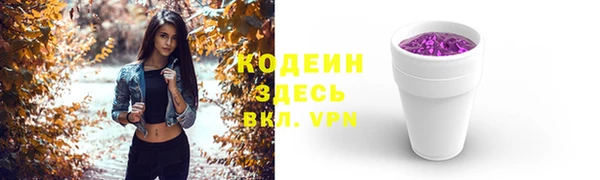 сатива Сясьстрой