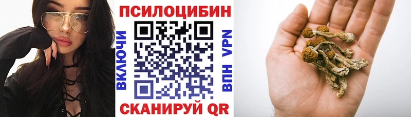 Псилоцибиновые грибы Cubensis Далматово